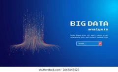 技术咨询与平台应用指导